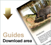 Guides download area